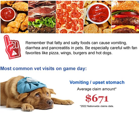 Get your pet ready for game day!
